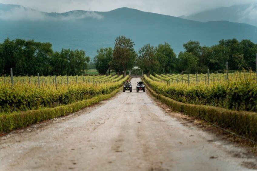 ATV or UTV Off-Road Tour near Plovdiv 2