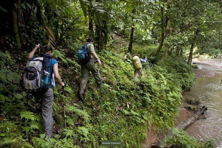Private Camino Real Trek in Panama 2