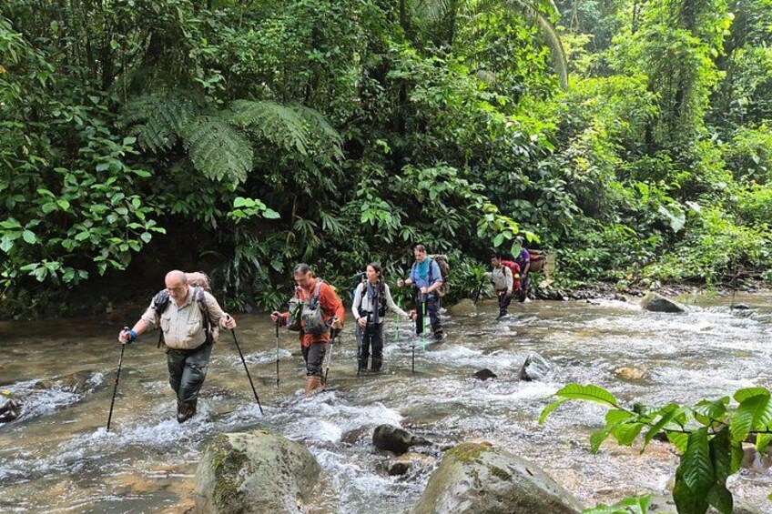 Private Camino Real Trek in Panama 4