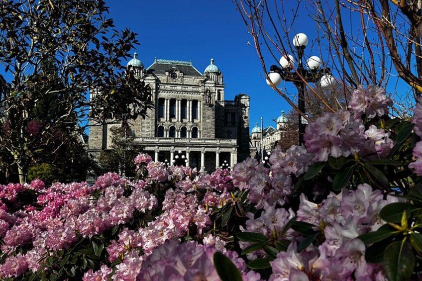 Ein historisches Gebäude mit Kuppelarchitektur und einem Garten voller rosa Blumen. 5