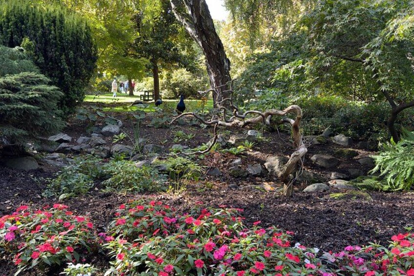 Ein Garten mit einem geschwungenen Baum, rosa Blüten und einem Picknickbereich im Hintergrund. 1