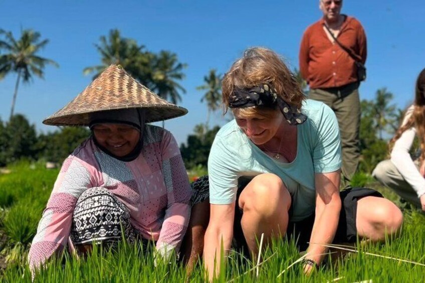 Lombok Panoramic Walking & Cycling Tour : Buwun Sejati Village 5