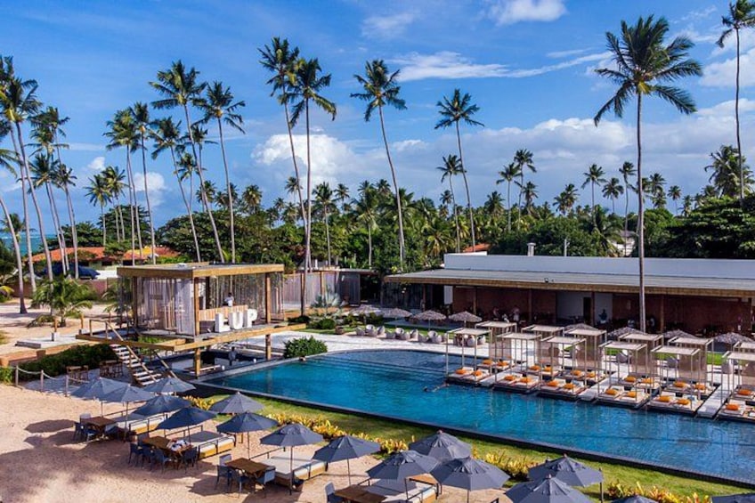 Un espace aménagé au bord de la piscine, avec des chaises longues, des parasols et des palmiers. 4