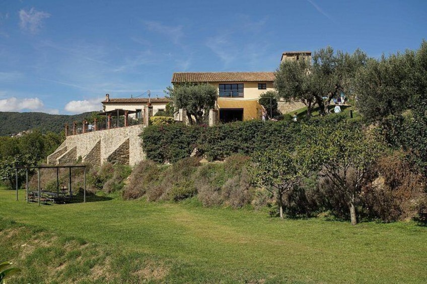 A hillside villa with a stone staircase, lush greenery, and a clear blue sky. 5