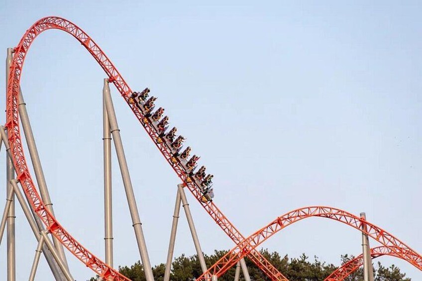 Thrill-seekers experiencing the high-speed twists and loops of this signature ride. 3