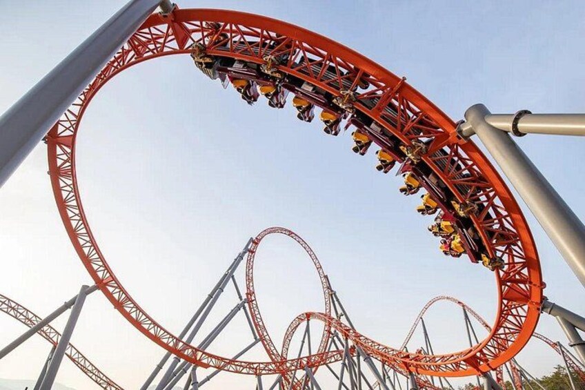 Thrill-seekers experiencing the high-speed twists and loops of this signature ride. 4