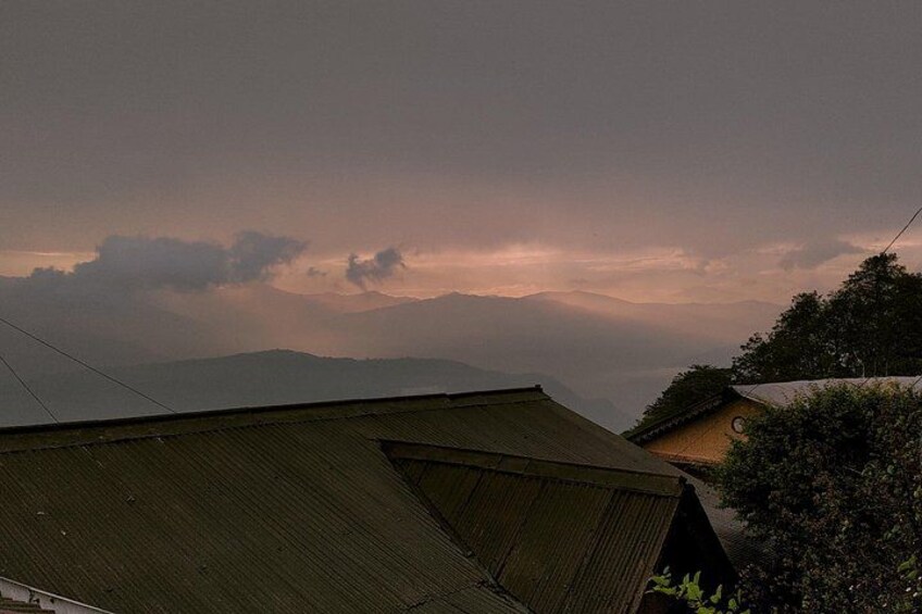 Darjeeling Forests on Foot 1