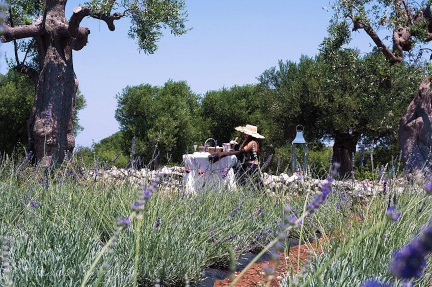 Una persona sentada a una mesa, con sombrero, rodeada de plantas de lavanda y árboles. 5