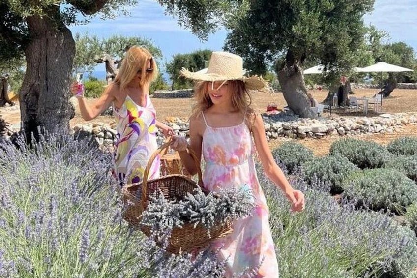 Dos personas caminando por un campo con plantas de lavanda, un árbol y cielo despejado. 3