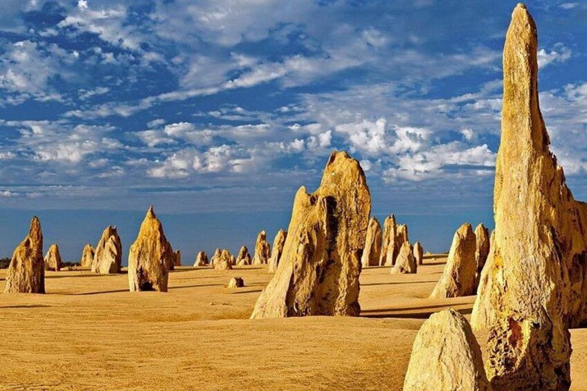 6 Hours Pinnacles Express Tour 1