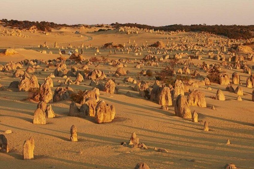 6 Hours Pinnacles Express Tour 5