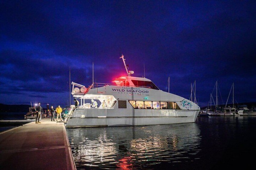 Sea to Sky Dark Sky Cruise Experience in Tasmania 2