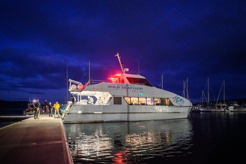Sea to Sky Dark Sky Cruise Experience in Tasmania 1