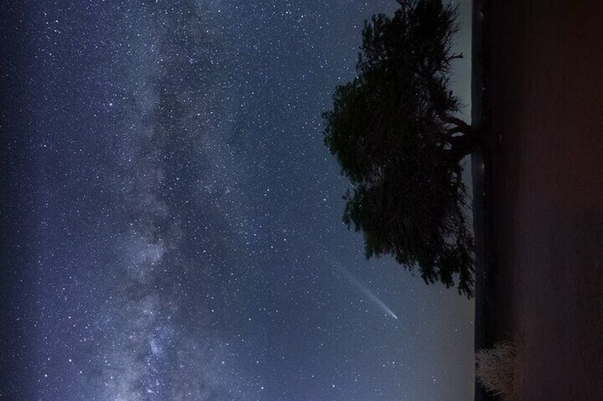 A night sky with stars and the Milky Way, a tree, and a building. 2