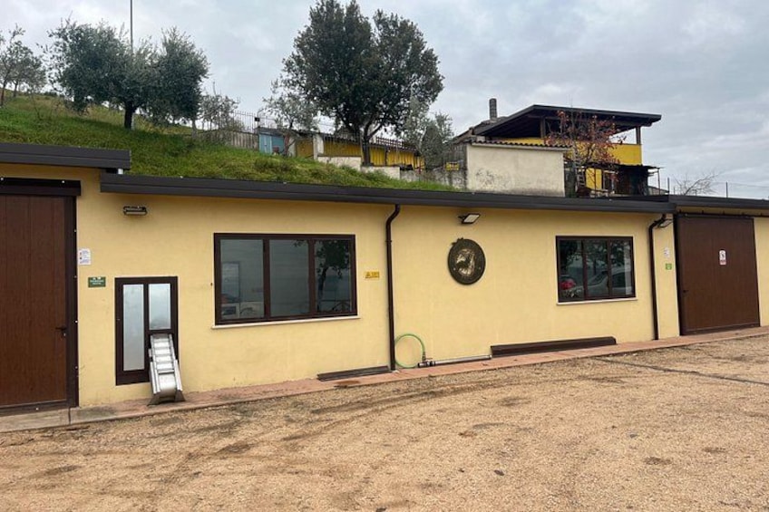 A yellow building with large windows and a brown door. 5