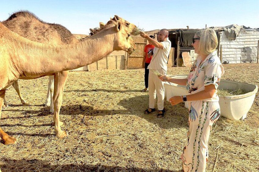 Riyadh Private Customizable Day Tour with Guide and Vehicle 2