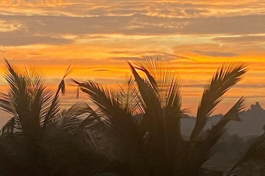 A sunset with palm trees silhouetted against a vibrant sky. 2