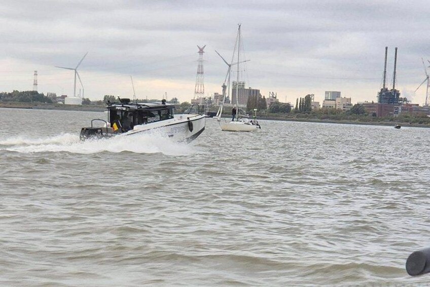 Sail the river Scheldt and get magnificent views on the port activities 4