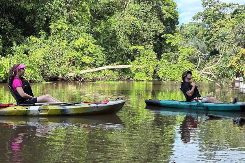 Deux personnes pratiquent le kayak sur une rivière paisible, entourée d’une végétation luxuriante. 2