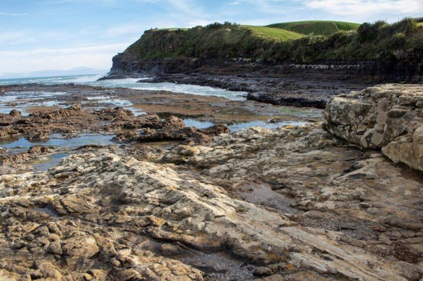 Invercargill to Dunedin via the Catlins Small Group 1 Way Tour 2