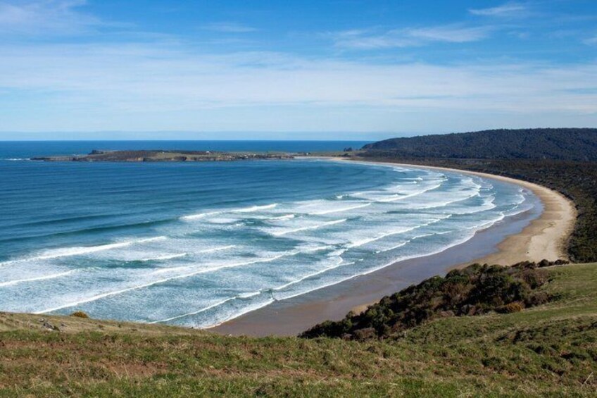 Invercargill to Dunedin via the Catlins Small Group 1 Way Tour 3