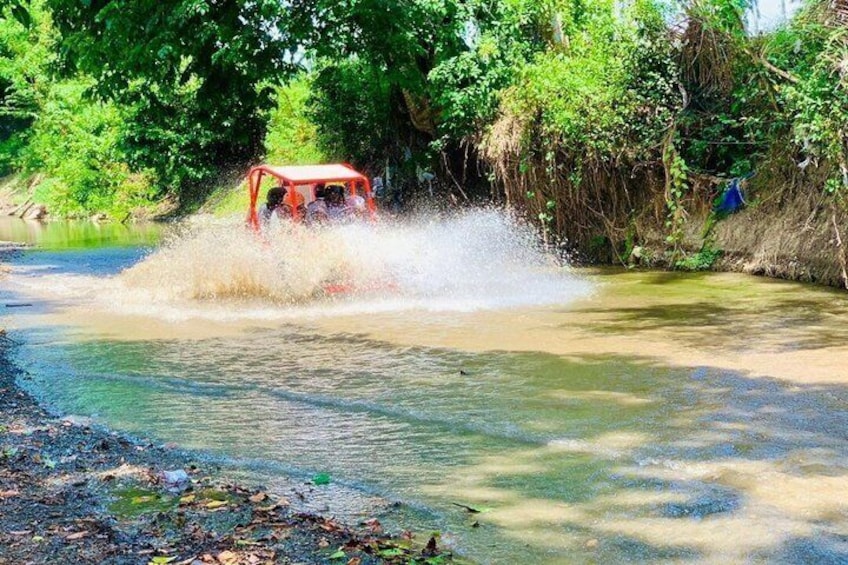 Puerto Plata : Buggy in the mountains, free transportation 4