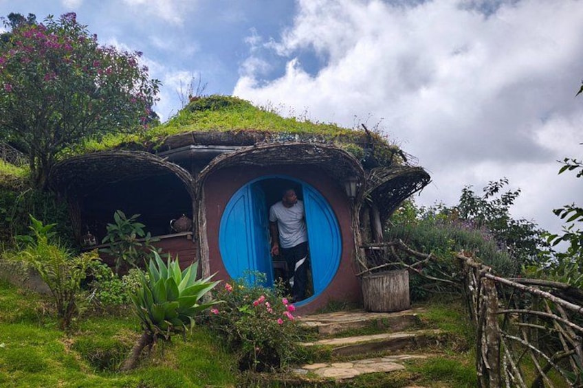 Una casa de estilo Hobbit con una puerta azul, rodeada de follaje y un sendero de piedra. 3