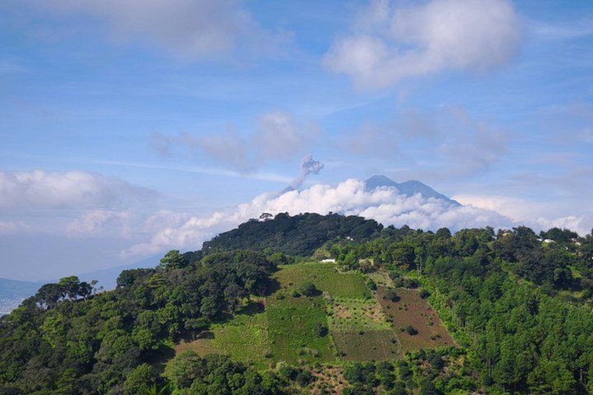 Un paisaje montañoso con una colina boscosa, cielo despejado y un pico de montaña lejano. 2