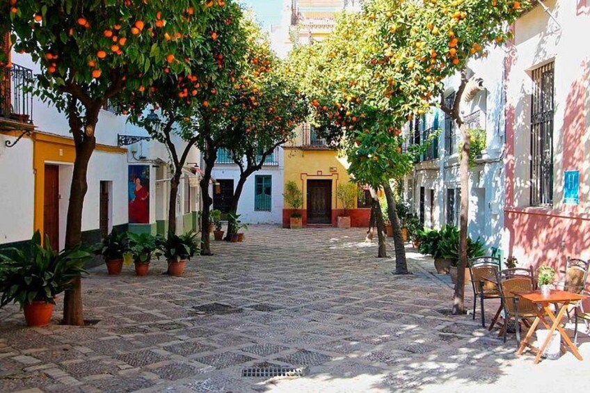 Private Seville Tour from Cordoba Includes Local Guide 3