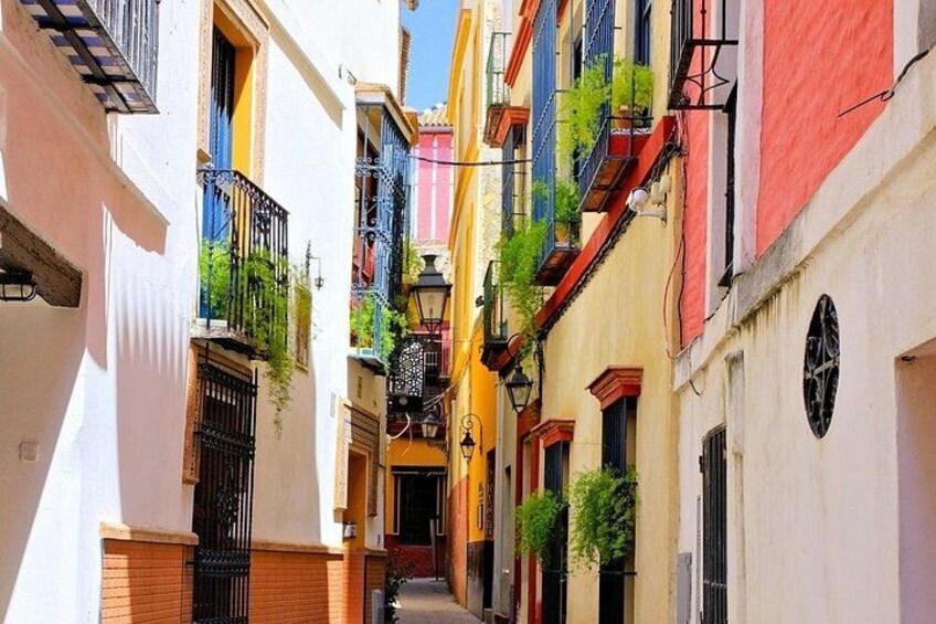 Private Seville Tour from Cordoba Includes Local Guide 2