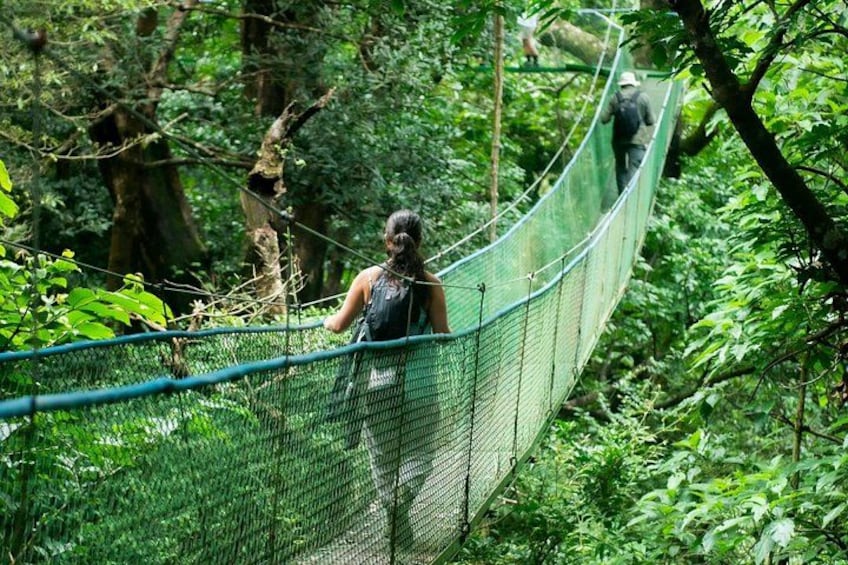 A person walking on a suspended net bridge in a forest. 3