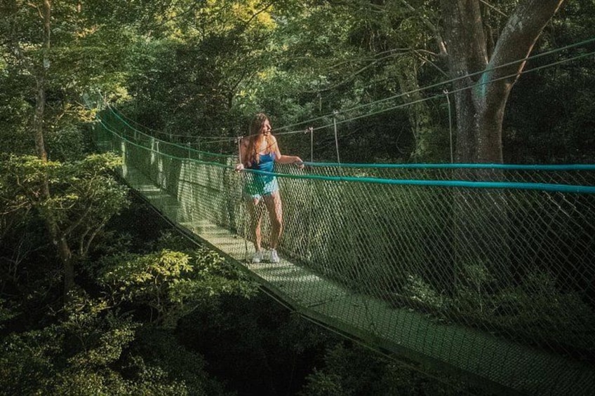 A person walking on a suspended bridge in a forest. 1