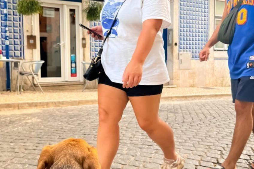 A person walking on a cobblestone street, a dog, and a building with blue patterned windows. 3