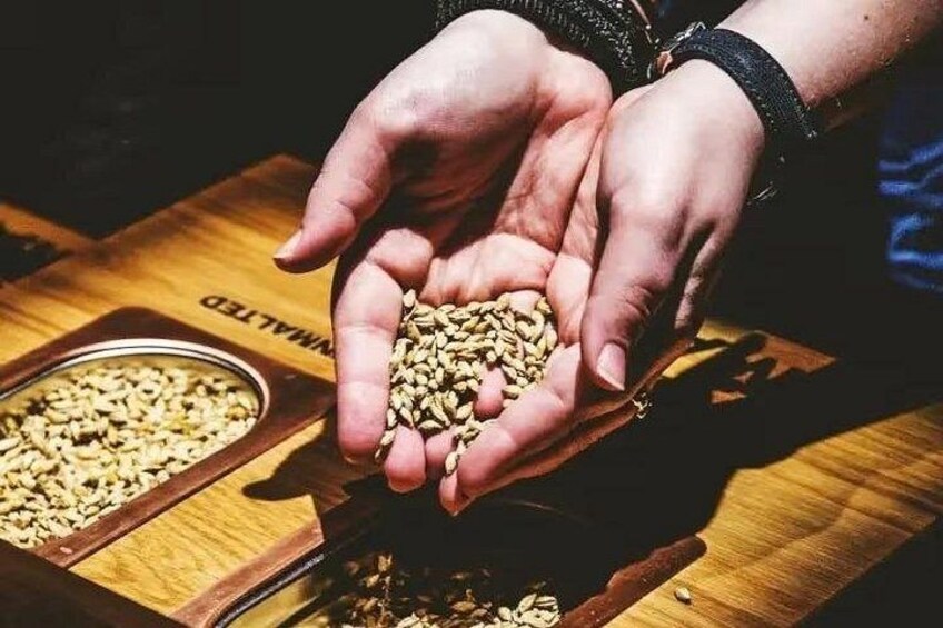 Hands holding grains, with a wooden table and a metal container in the background. 2