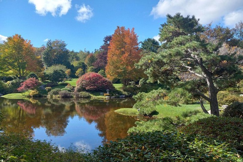 A serene garden with a pond, various trees, and well-maintained bushes. 4