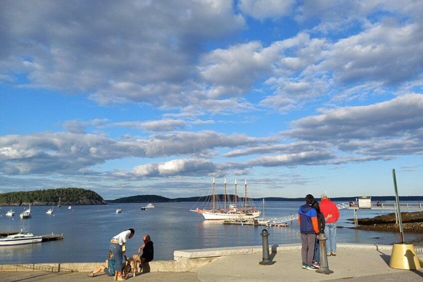 A harbor with boats, a pier, and people standing by the water. 2