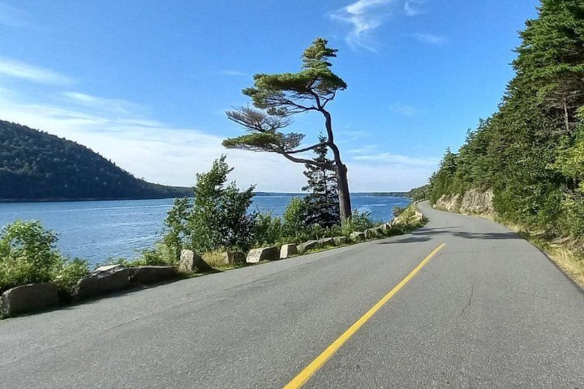 A coastal road with a clear sky, a body of water, and a forested hillside. 5