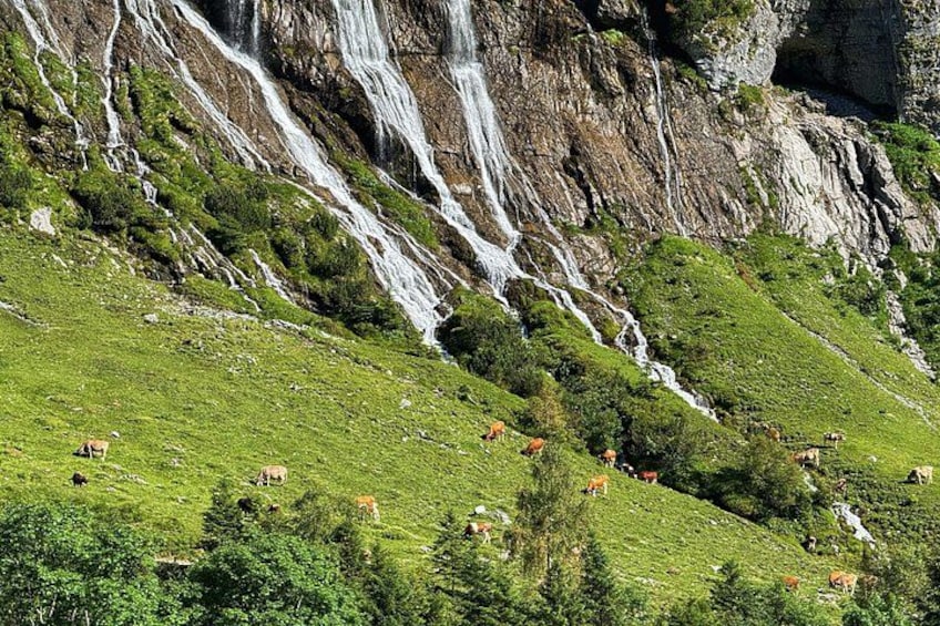 Een bergachtig landschap met een waterval, groen gras en enkele koeien. 2