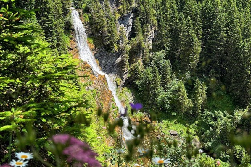 Een waterval stort naar beneden over een rotswand, omgeven door dicht bos. 4