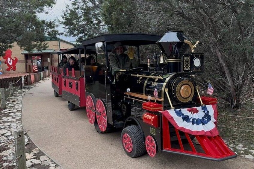 Dino Express Train 5