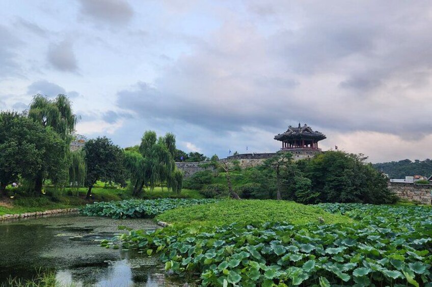UNESCO Suwon Hwaseong Fortress Wall Hiking Tour with Expert Guide 4
