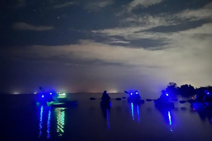 Bioluminescent Kayak Tour in Floridas Indian River Lagoon 1