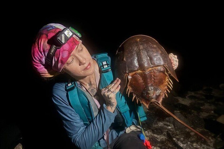 Bioluminescent Kayak Tour in Floridas Indian River Lagoon 3