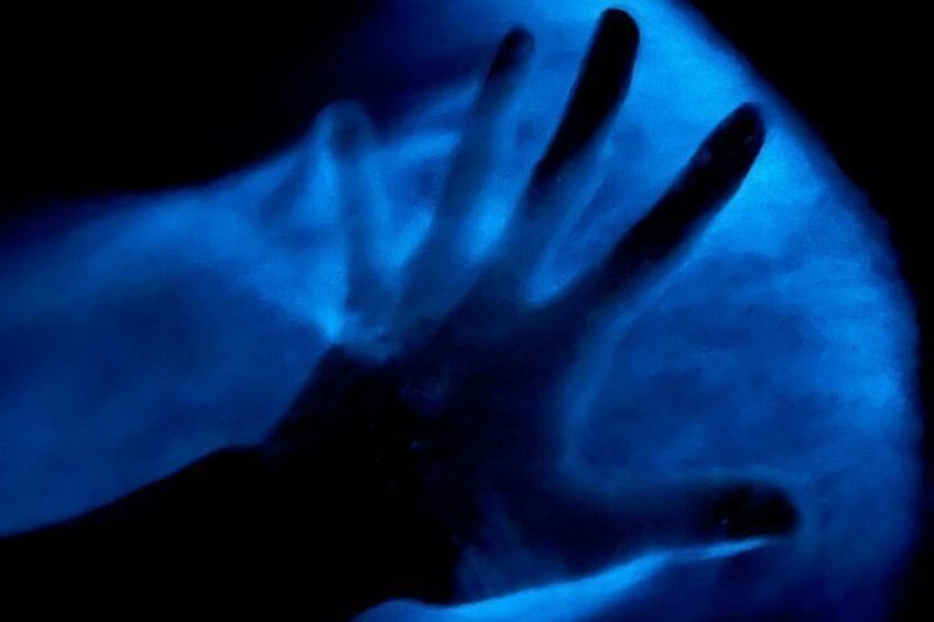 Bioluminescent Kayak Tour in Floridas Indian River Lagoon 4