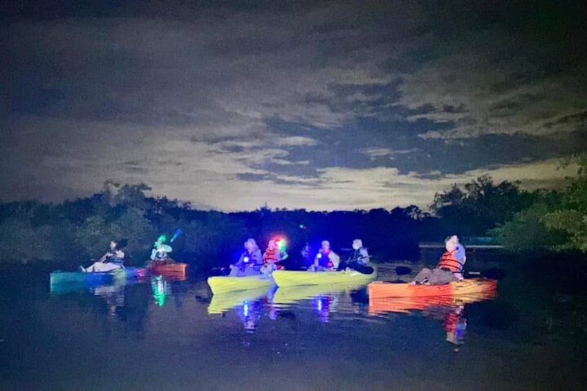 Bioluminescent Kayak Tour in Floridas Indian River Lagoon 2