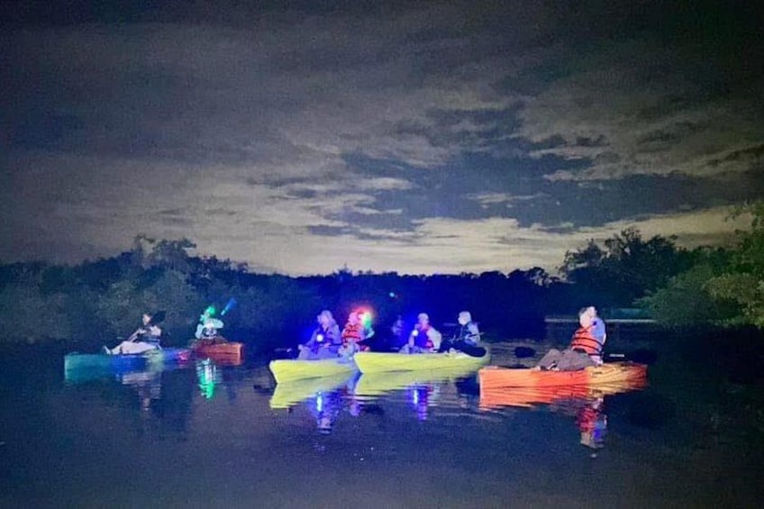Bioluminescent Kayak Tour in Floridas Indian River Lagoon 2