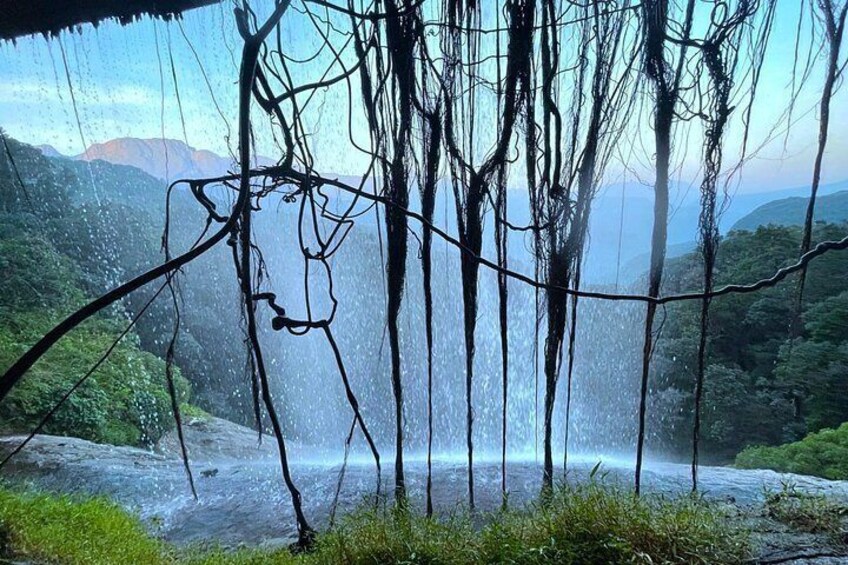 Una cascada se precipita sobre rocas, rodeada de exuberante follaje y árboles. 3
