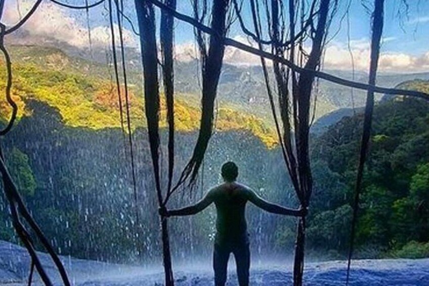 Una persona con los brazos extendidos entre ramas de árboles, contemplando un paisaje boscoso con una cascada. 2