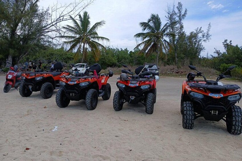Vier quad bikes op een zandstrand, met palmbomen op de achtergrond. 3