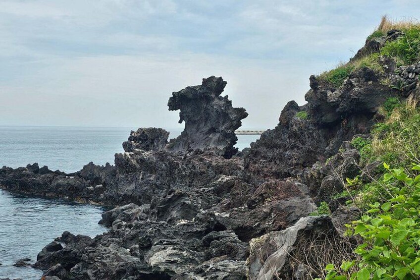 Jeju Private City Tour for Cruise Customer 2